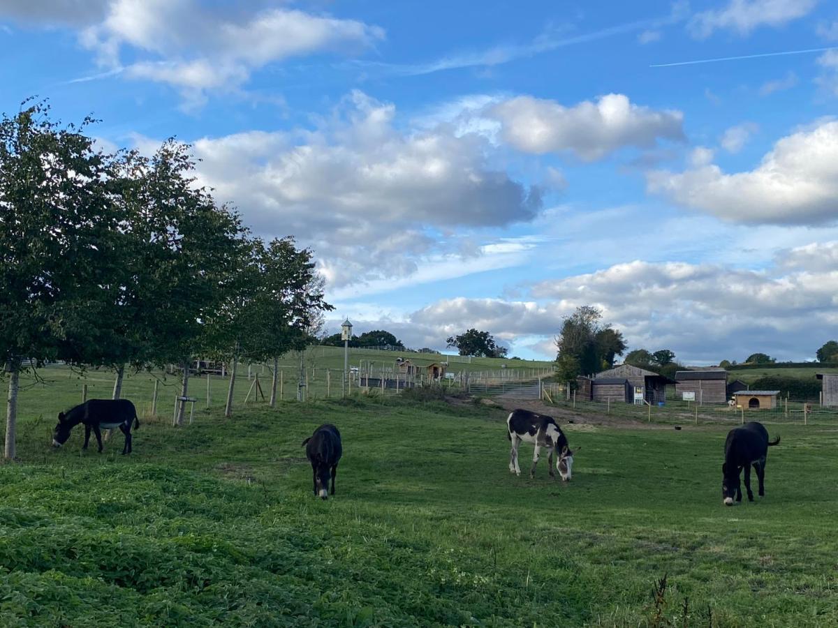 Fairview Farm Holiday Accommodation 14 Luxury Lodges, Cabins, Dog Friendly, Suitable For Couples, Families And Groups, Wedding Guests , Corporate Events, Sleeps 2-65 Guests In Ravenshead, Nottingham Near Sherwood Forest, Set In 88 Acres Eksteriør bilde