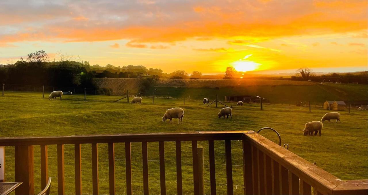 Fairview Farm Holiday Accommodation 14 Luxury Lodges, Cabins, Dog Friendly, Suitable For Couples, Families And Groups, Wedding Guests , Corporate Events, Sleeps 2-65 Guests In Ravenshead, Nottingham Near Sherwood Forest, Set In 88 Acres Eksteriør bilde
