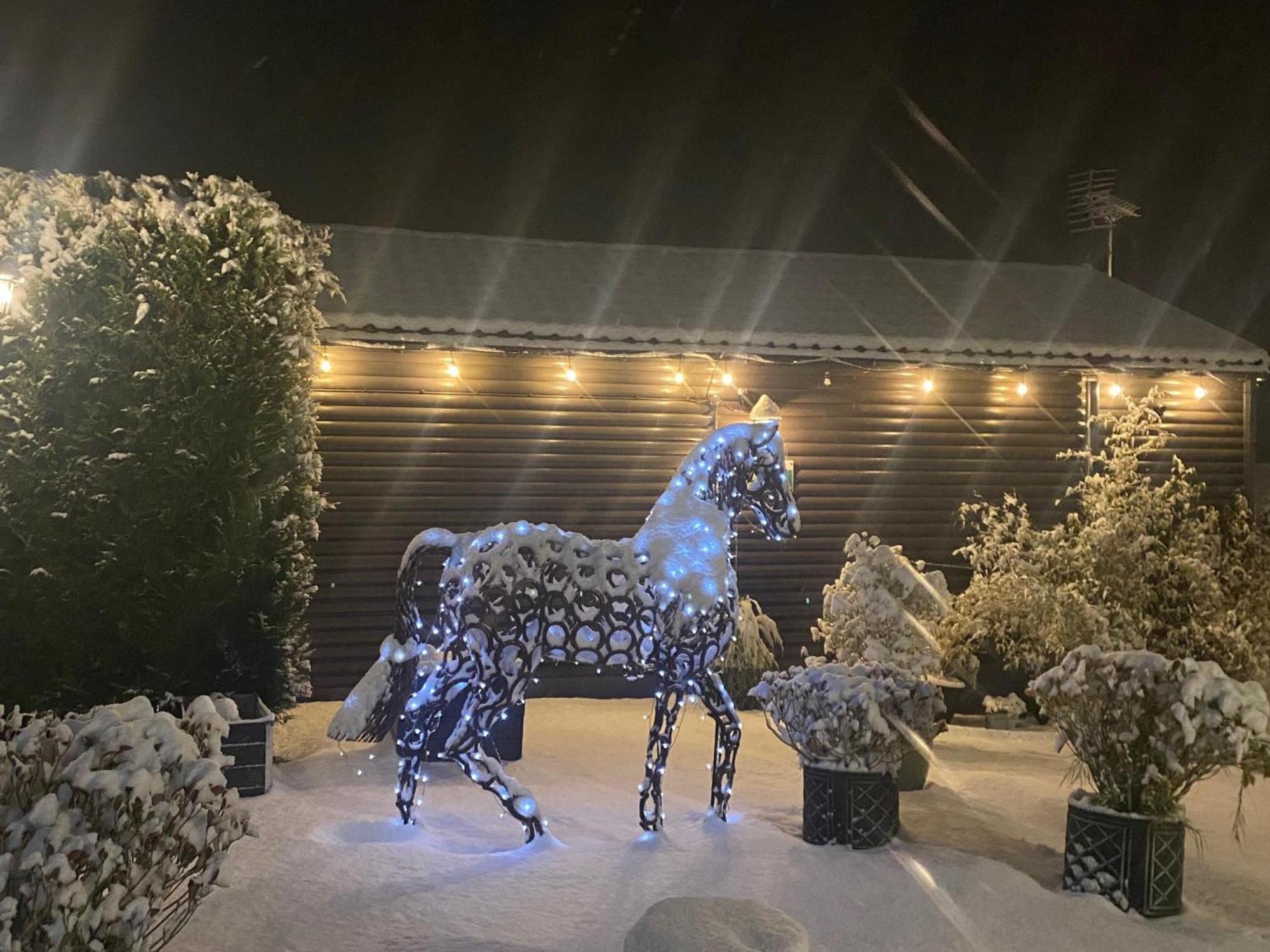 Fairview Farm Holiday Accommodation 14 Luxury Lodges, Cabins, Dog Friendly, Suitable For Couples, Families And Groups, Wedding Guests , Corporate Events, Sleeps 2-65 Guests In Ravenshead, Nottingham Near Sherwood Forest, Set In 88 Acres Eksteriør bilde