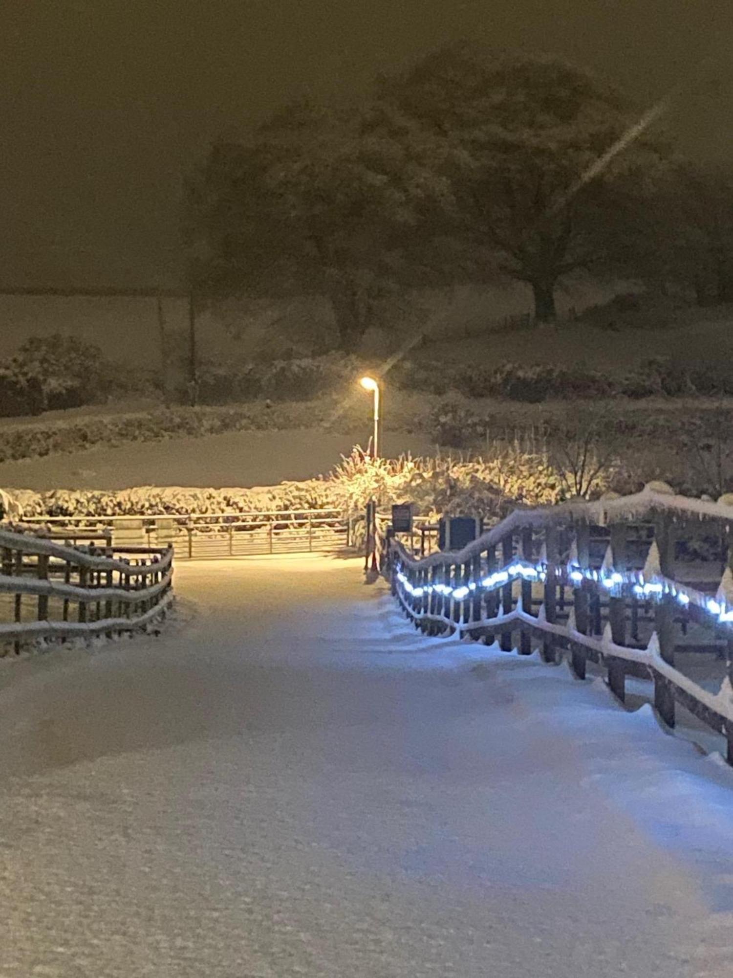 Fairview Farm Holiday Accommodation 14 Luxury Lodges, Cabins, Dog Friendly, Suitable For Couples, Families And Groups, Wedding Guests , Corporate Events, Sleeps 2-65 Guests In Ravenshead, Nottingham Near Sherwood Forest, Set In 88 Acres Eksteriør bilde