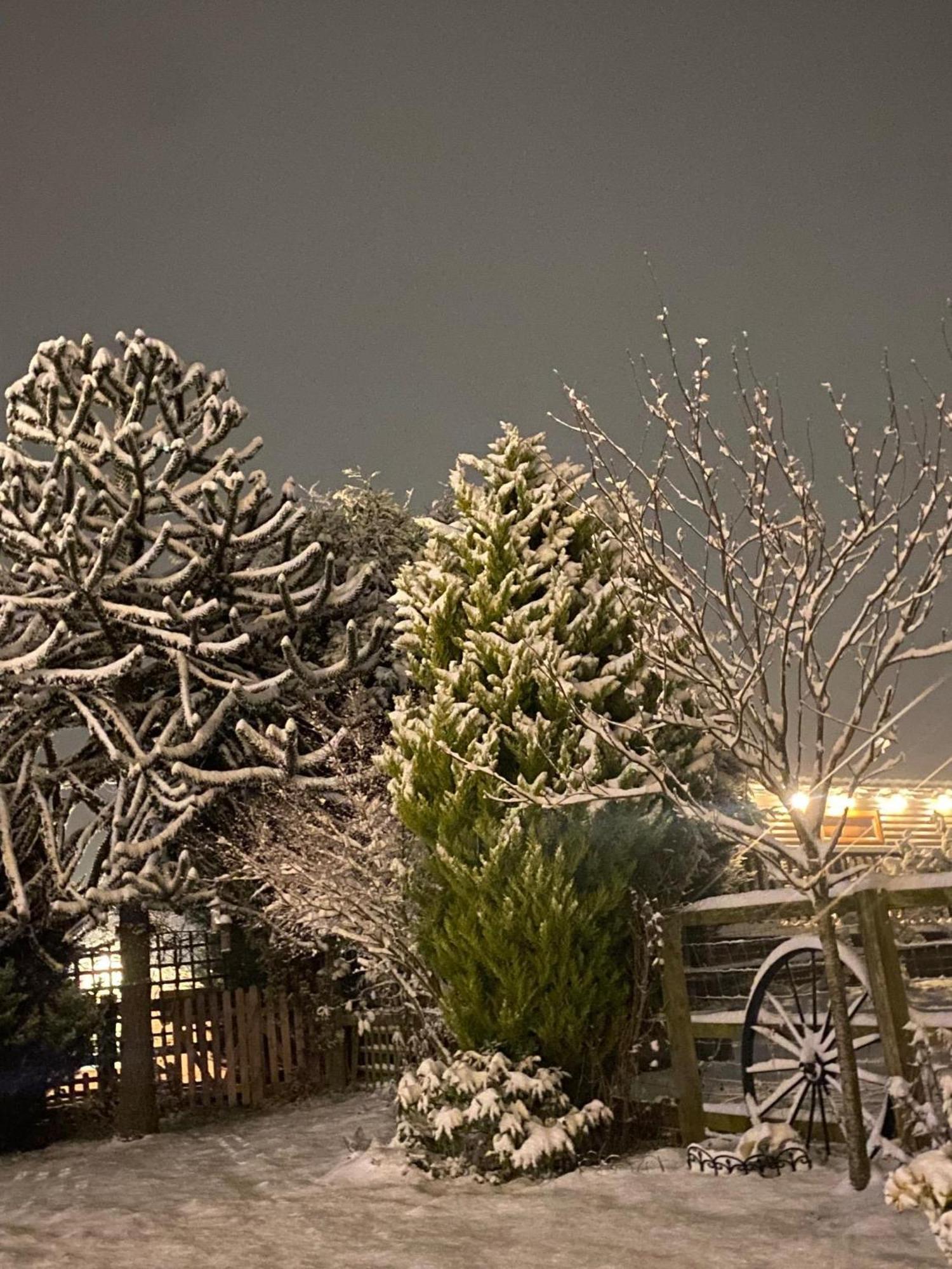 Fairview Farm Holiday Accommodation 14 Luxury Lodges, Cabins, Dog Friendly, Suitable For Couples, Families And Groups, Wedding Guests , Corporate Events, Sleeps 2-65 Guests In Ravenshead, Nottingham Near Sherwood Forest, Set In 88 Acres Eksteriør bilde