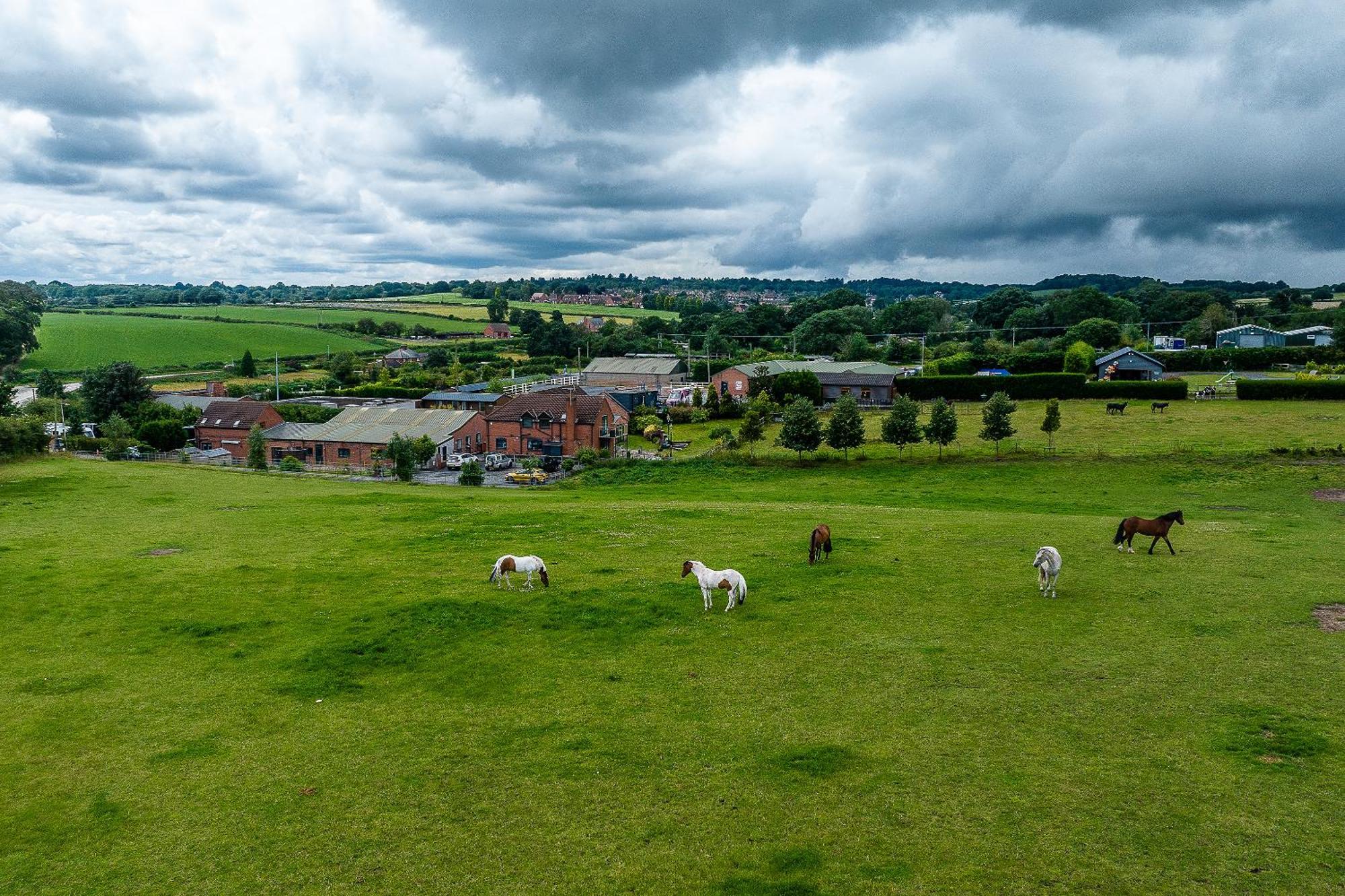 Fairview Farm Holiday Accommodation 14 Luxury Lodges, Cabins, Dog Friendly, Suitable For Couples, Families And Groups, Wedding Guests , Corporate Events, Sleeps 2-65 Guests In Ravenshead, Nottingham Near Sherwood Forest, Set In 88 Acres Eksteriør bilde